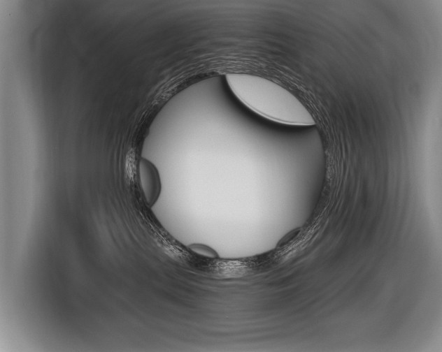 X0000116440287200912081359