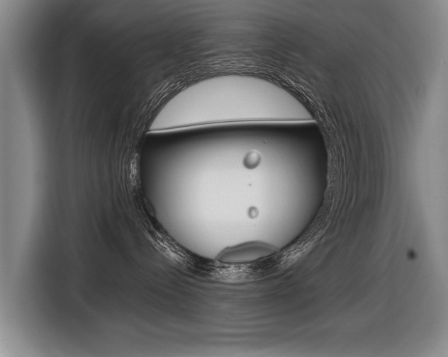X0000116440288200912081359