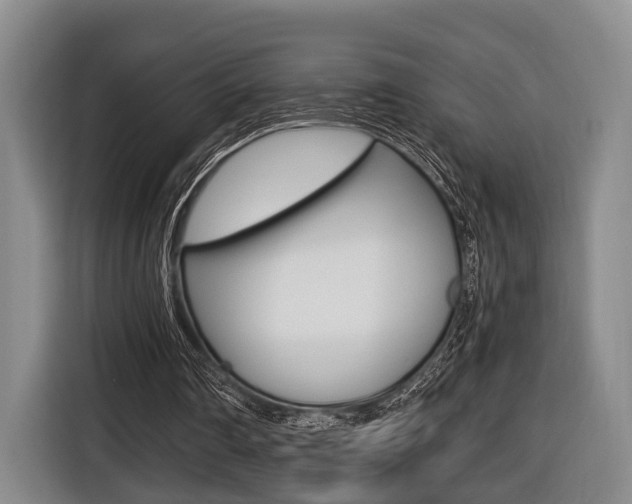 X0000116440290200912081358