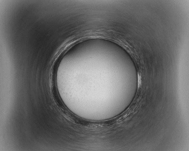 X0000116440291200912081358