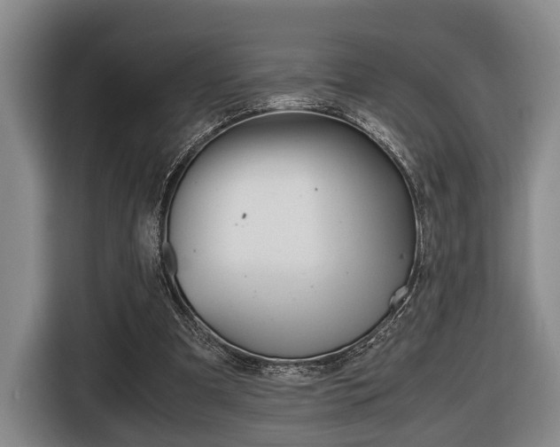 X0000116440297200912081358