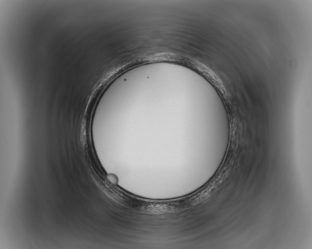 X0000116440298200912081358