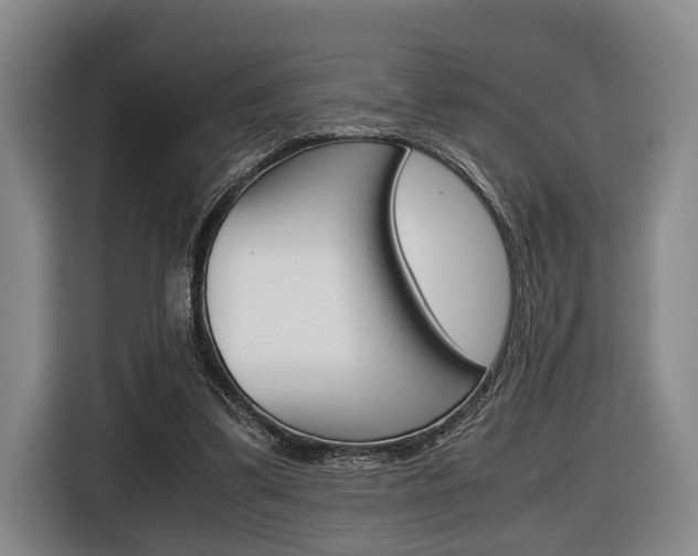 X0000116440299200912081358