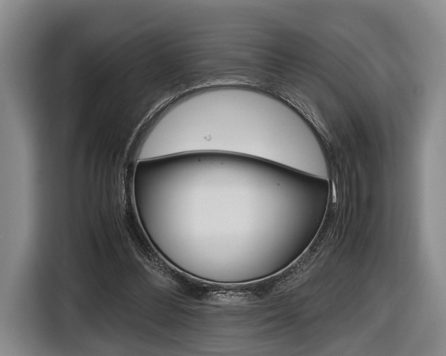 X0000116440300200912081358