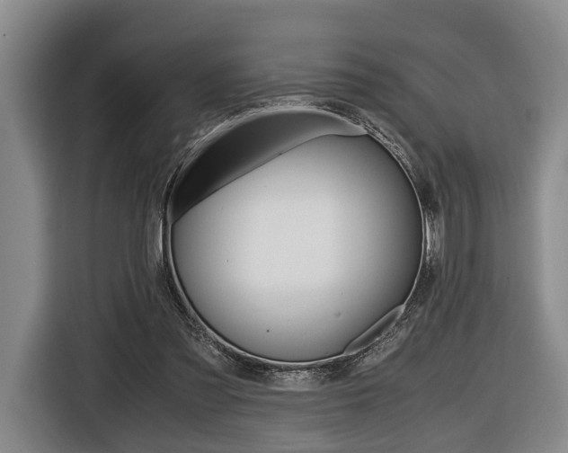 X0000116440301200912081358