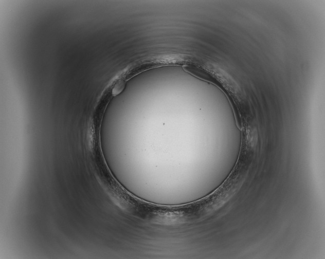X0000116440304200912081358