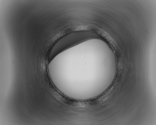X0000116440305200912081358