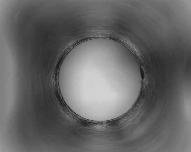 X0000116440306200912081358