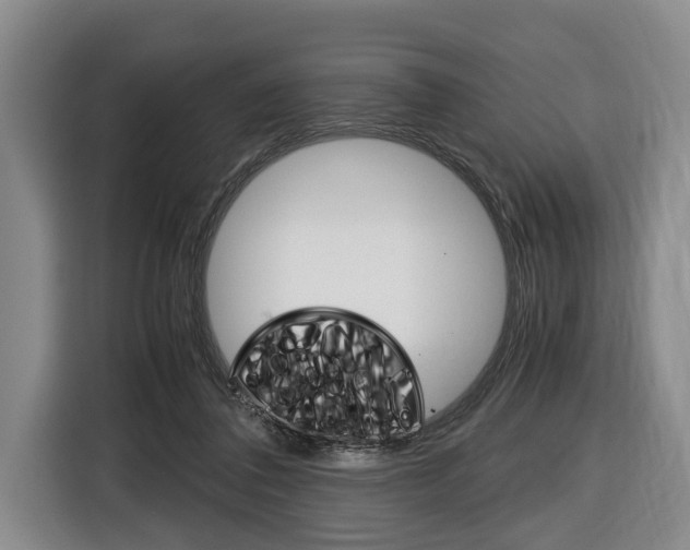 X0000116440308200912081358
