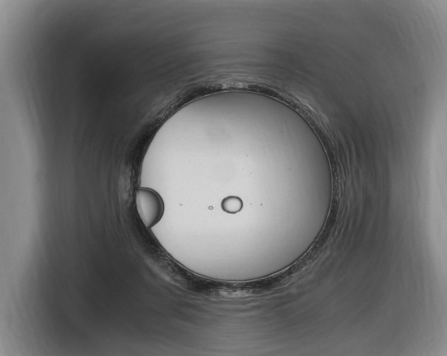 X0000116440311200912081358
