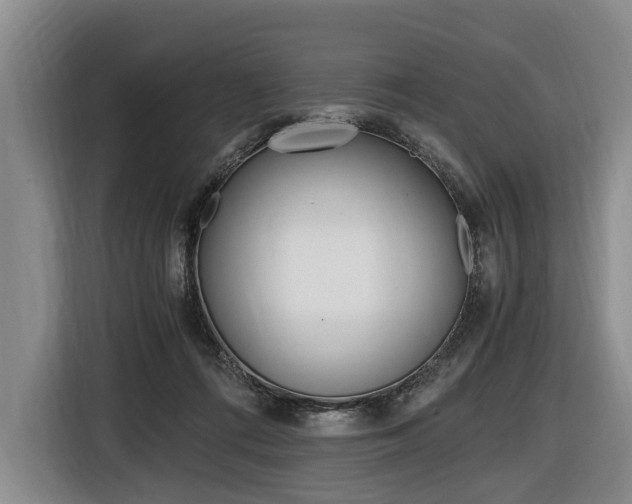 X0000116440312200912081358