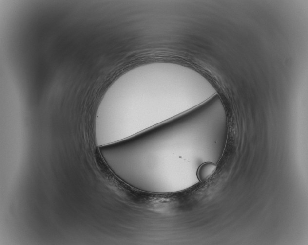 X0000116440315200912081358
