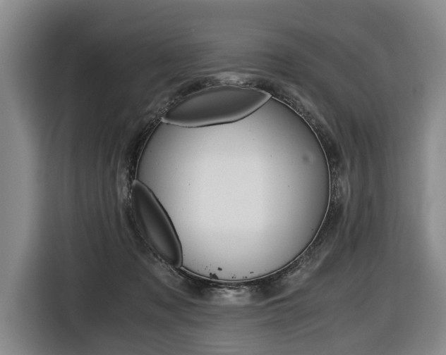 X0000116440317200912081358