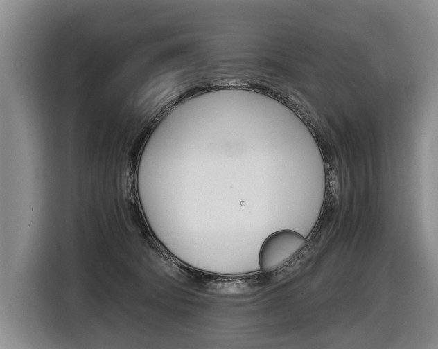 X0000116440322200912081358