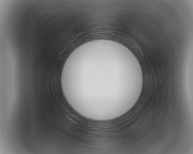 X0000116440328200912081358