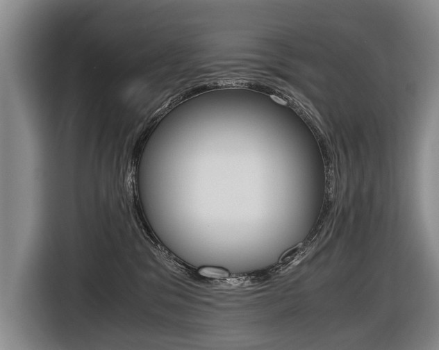 X0000116440329200912081358