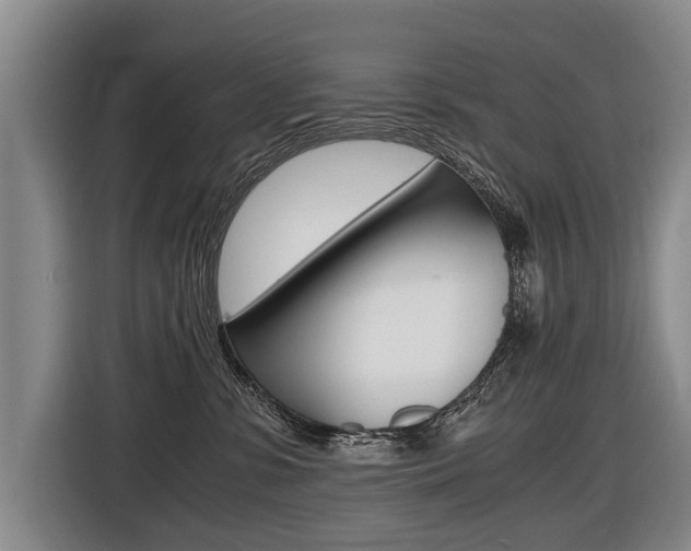 X0000116440331200912081358
