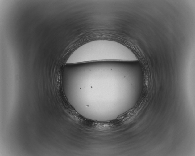 X0000116440332200912081358