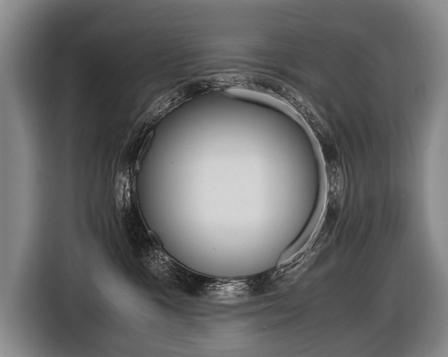 X0000116440333200912081358