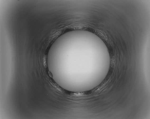 X0000116440335200912081358