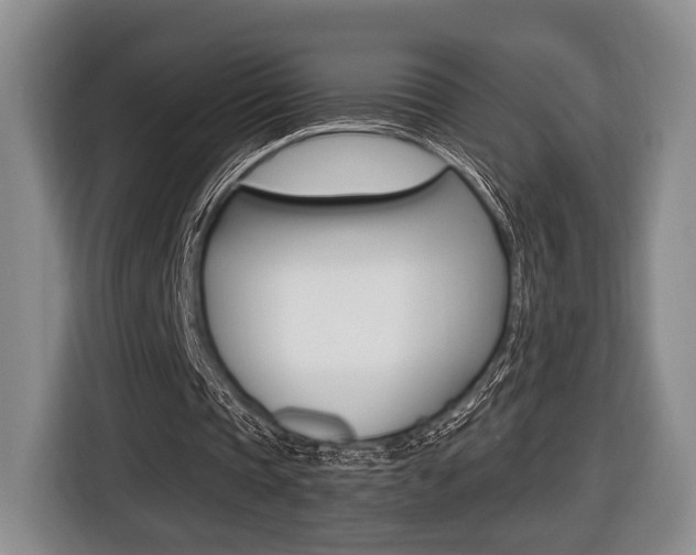 X0000116440337200912081357