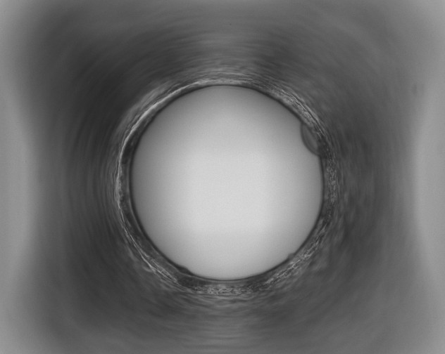 X0000116440338200912081357