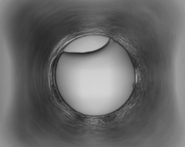 X0000116440339200912081357