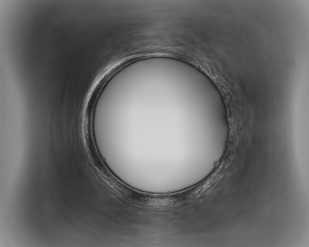 X0000116440342200912081357