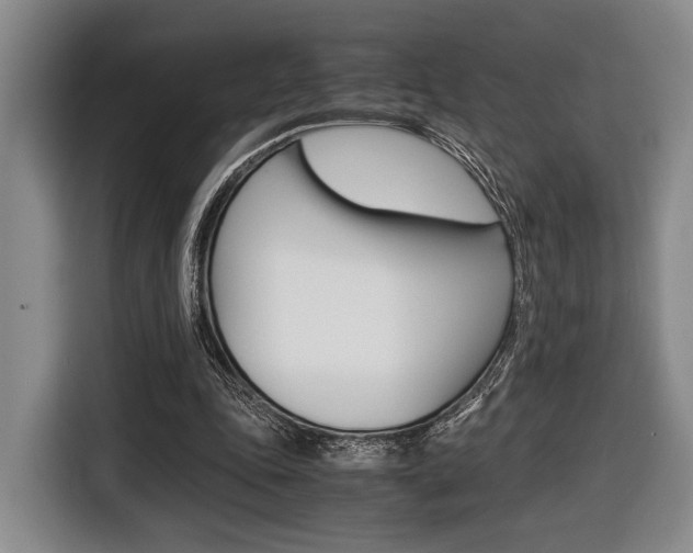 X0000116440343200912081357