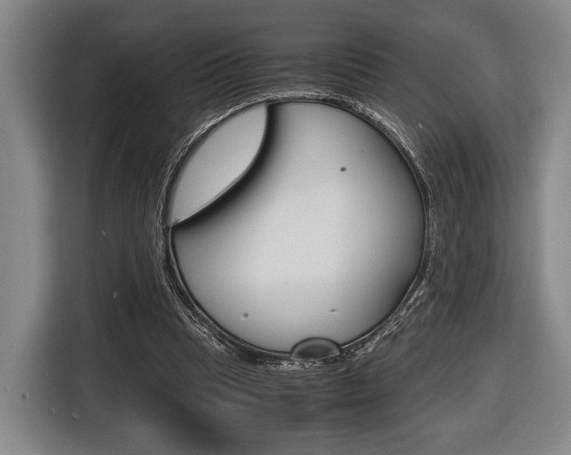 X0000116440345200912081357