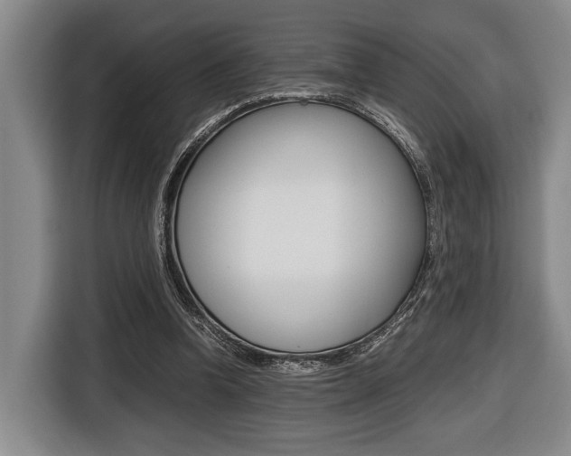 X0000116440346200912081357