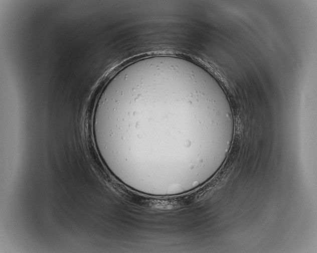 X0000116440347200912081357