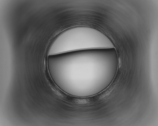X0000116440349200912081357
