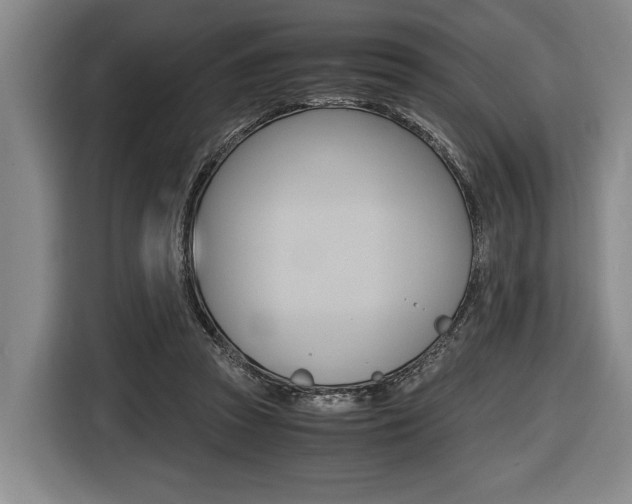 X0000116440353200912081357