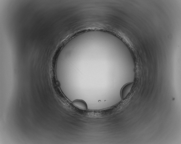 X0000116440354200912081357