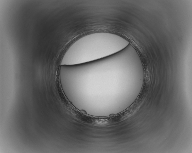 X0000116440355200912081357