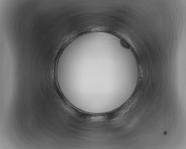 X0000116440357200912081357