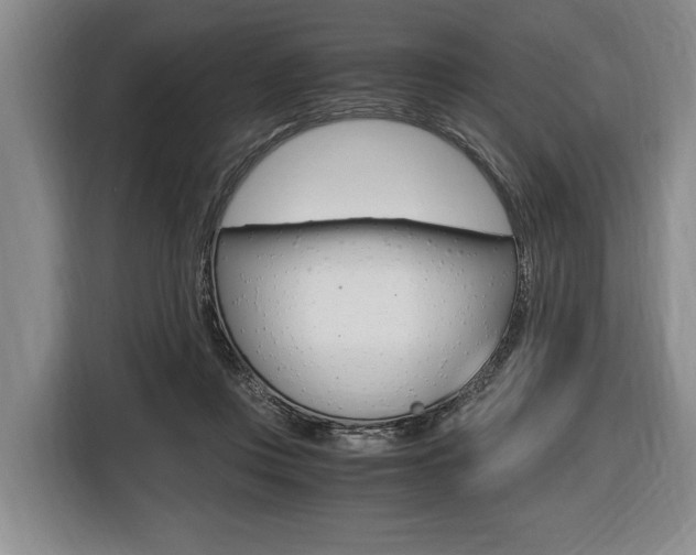 X0000116440359200912081357
