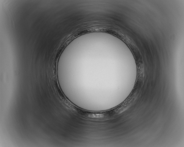X0000116440361200912081357