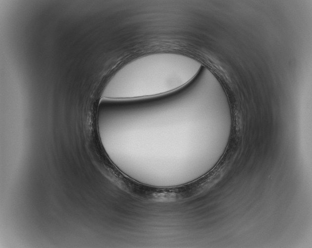 X0000116440362200912081357