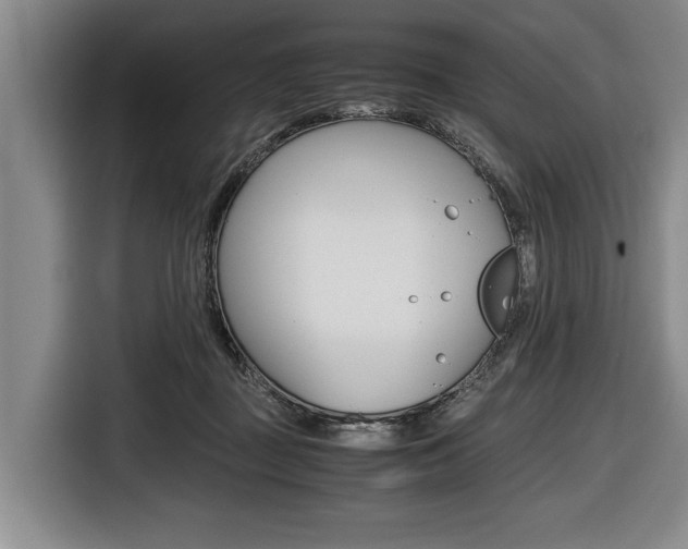 X0000116440363200912081357