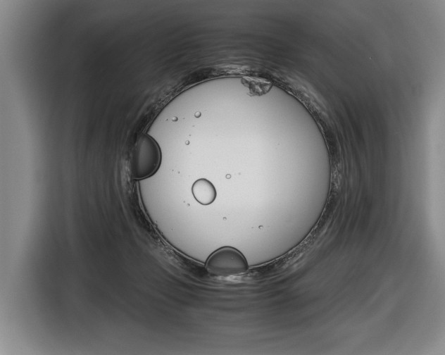 X0000116440365200912081357