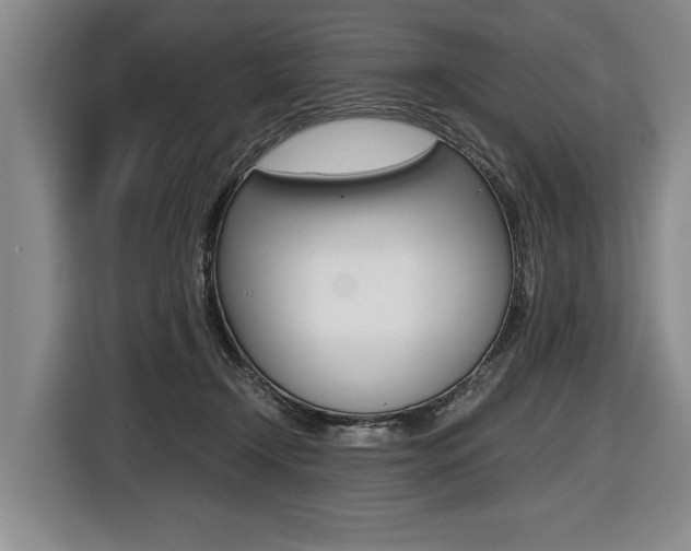 X0000116440366200912081357
