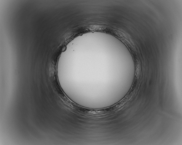 X0000116440367200912081357