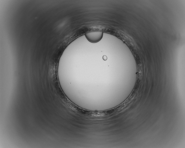 X0000116440369200912081357