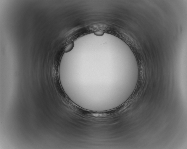 X0000116440371200912081357