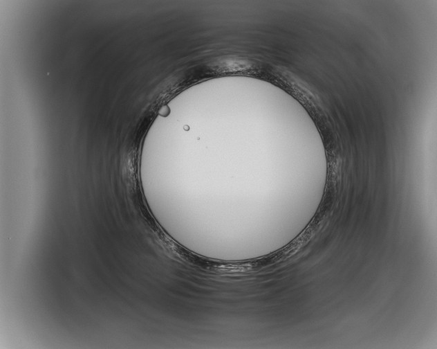 X0000116440373200912081357