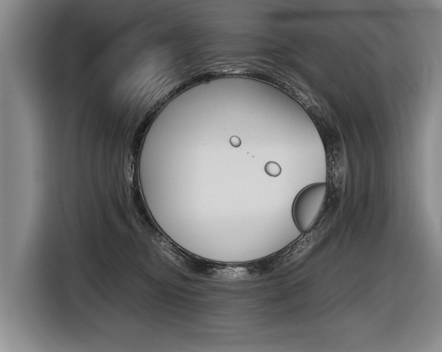 X0000116440374200912081357