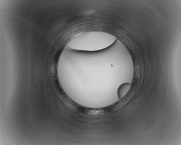 X0000116440375200912081357