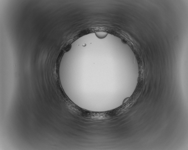 X0000116440377200912081357